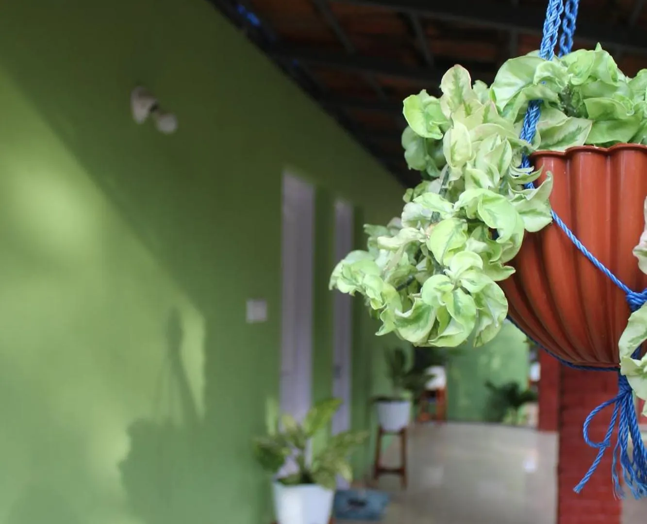 Bed and breakfast Green Miles Resort Varkala India